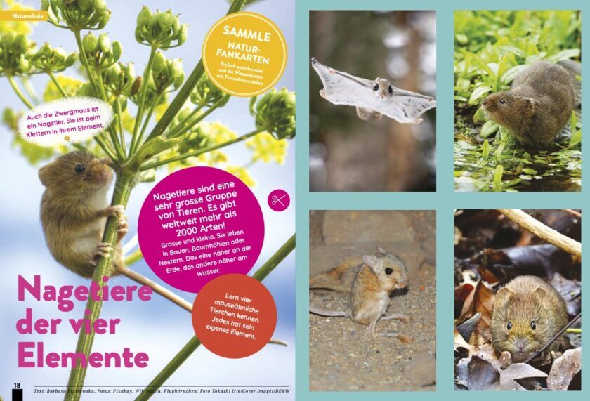 KALEIO-Magazin Nr. 22: In meinem Element (Deutsch) – Bild 6