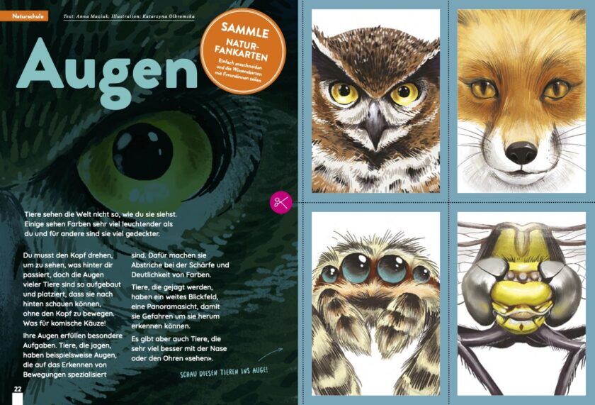 KALEIO-Magazin Nr. 24: Spiegelbild (Deutsch) – Bild 6