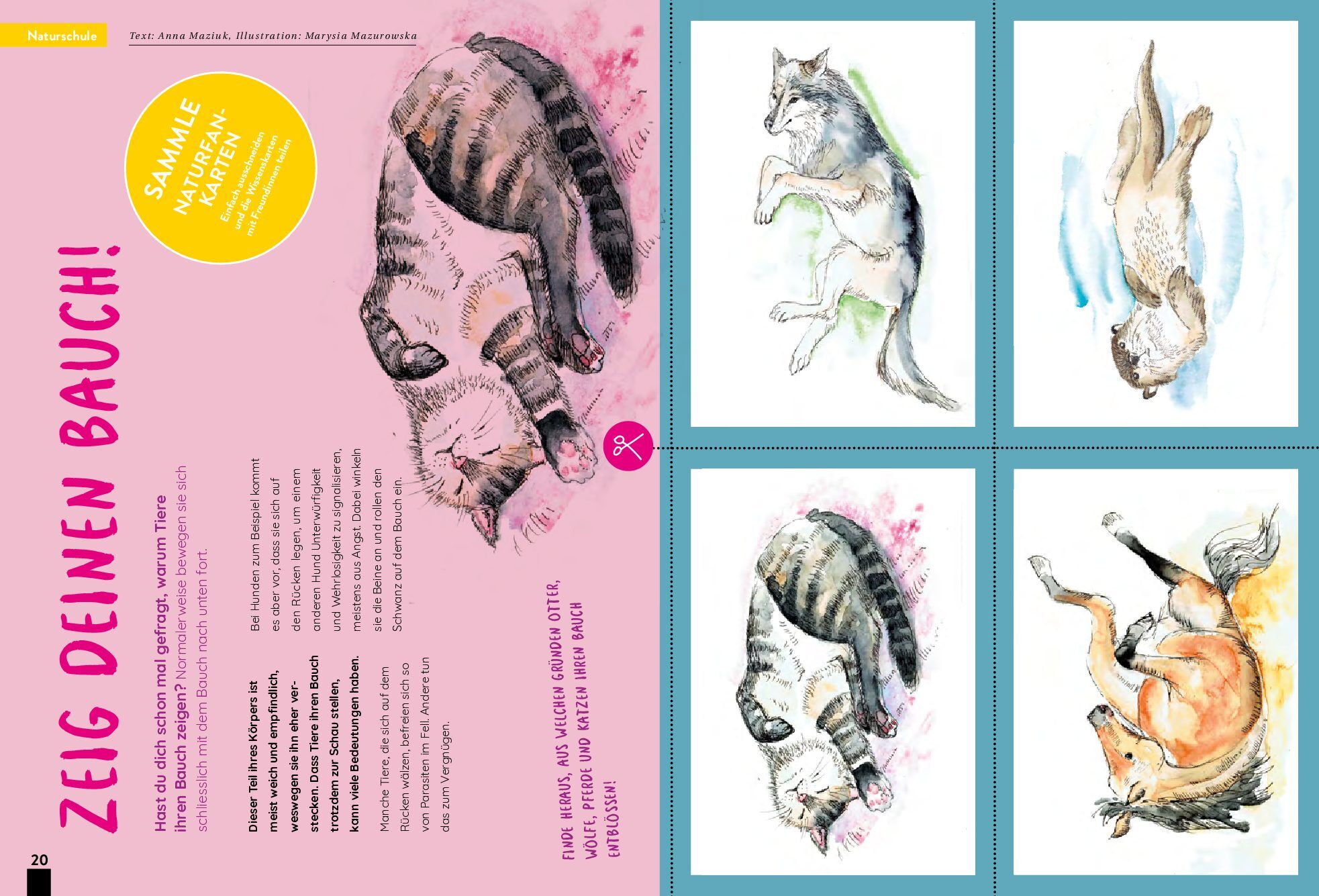 KALEIO N°4 : Rebondir (allemand) – Image 7