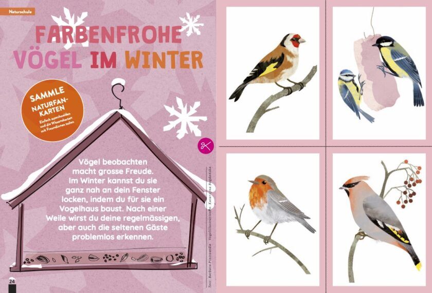 KALEIO-Magazin Nr. 1: Meine Stimme (Deutsch) – Bild 6
