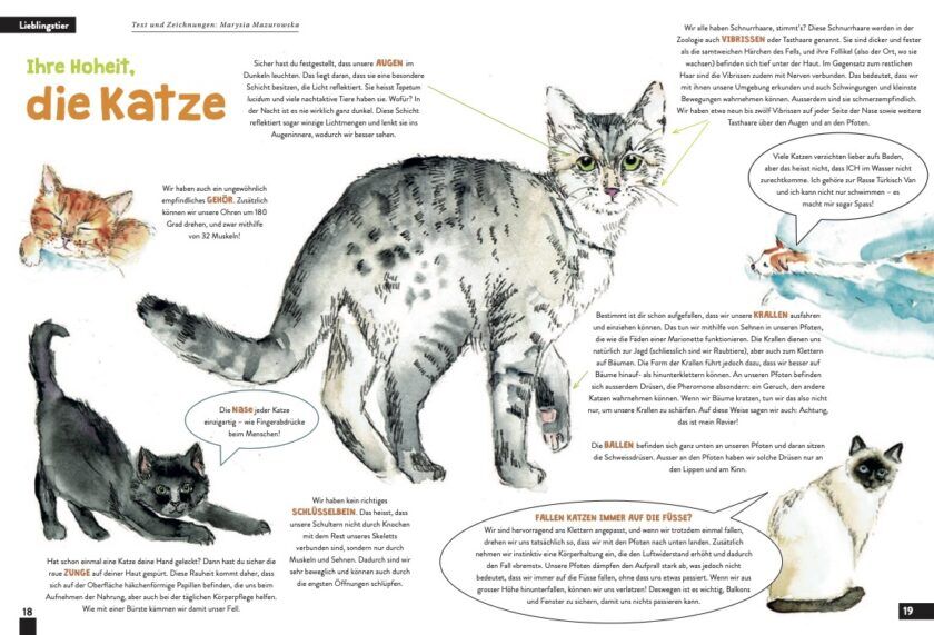 KALEIO N°8 : Comme chien et chat (allemand) – Image 4