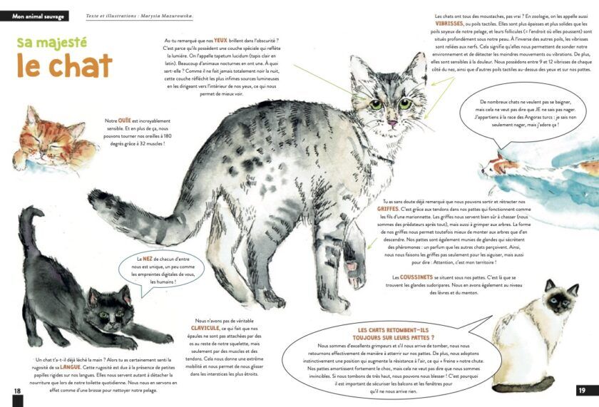 KALEIO-Magazin Nr. 8: Wie Hund und Katz (Französisch) – Bild 7
