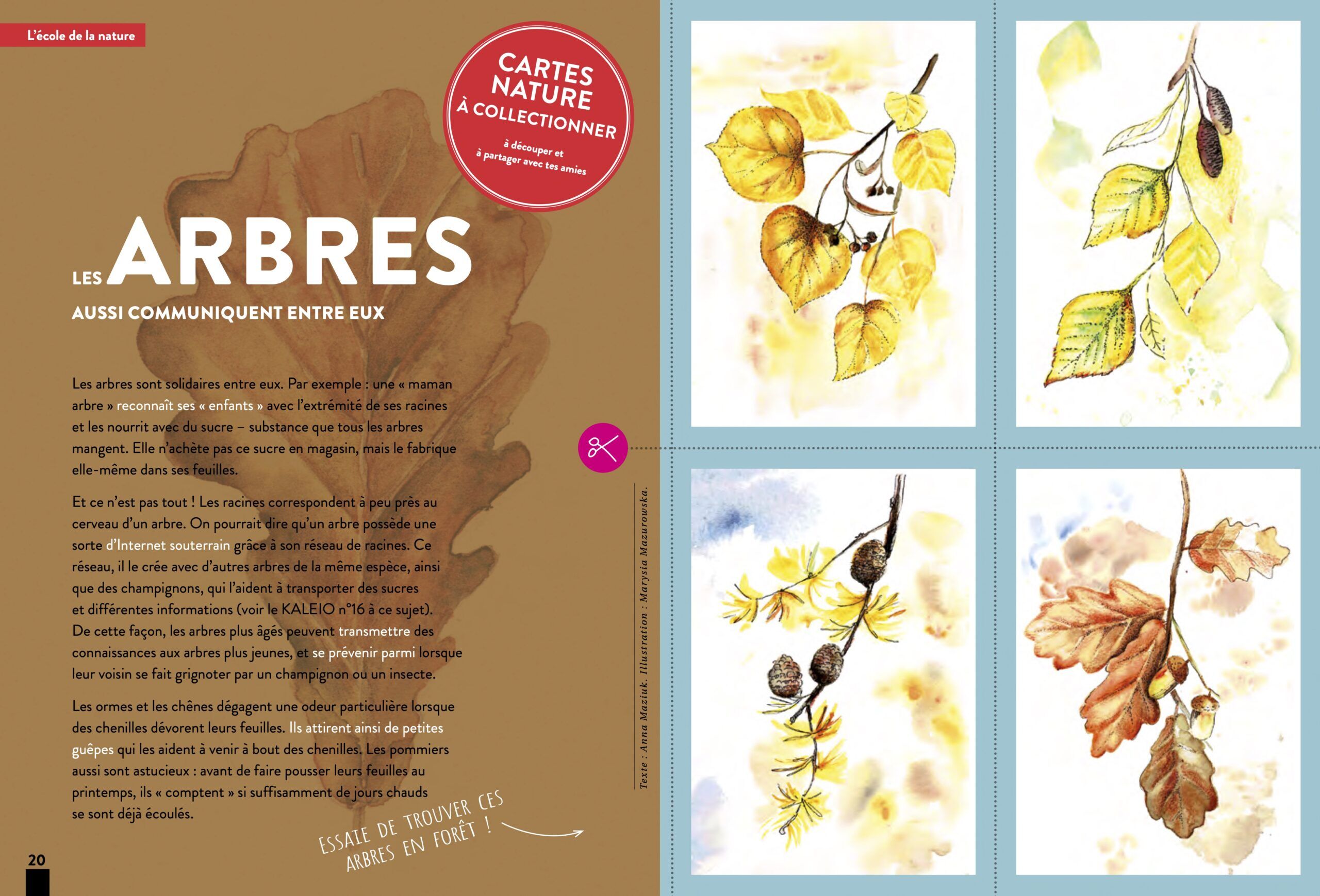 KALEIO-Magazin Nr. 18: Power (Französisch) – Bild 5