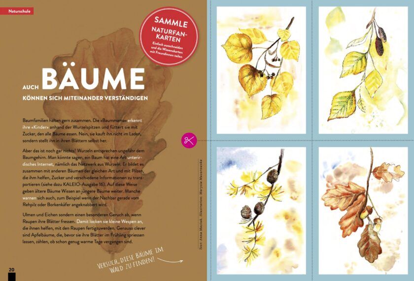KALEIO-Magazin Nr. 18: Power (Deutsch) – Bild 5