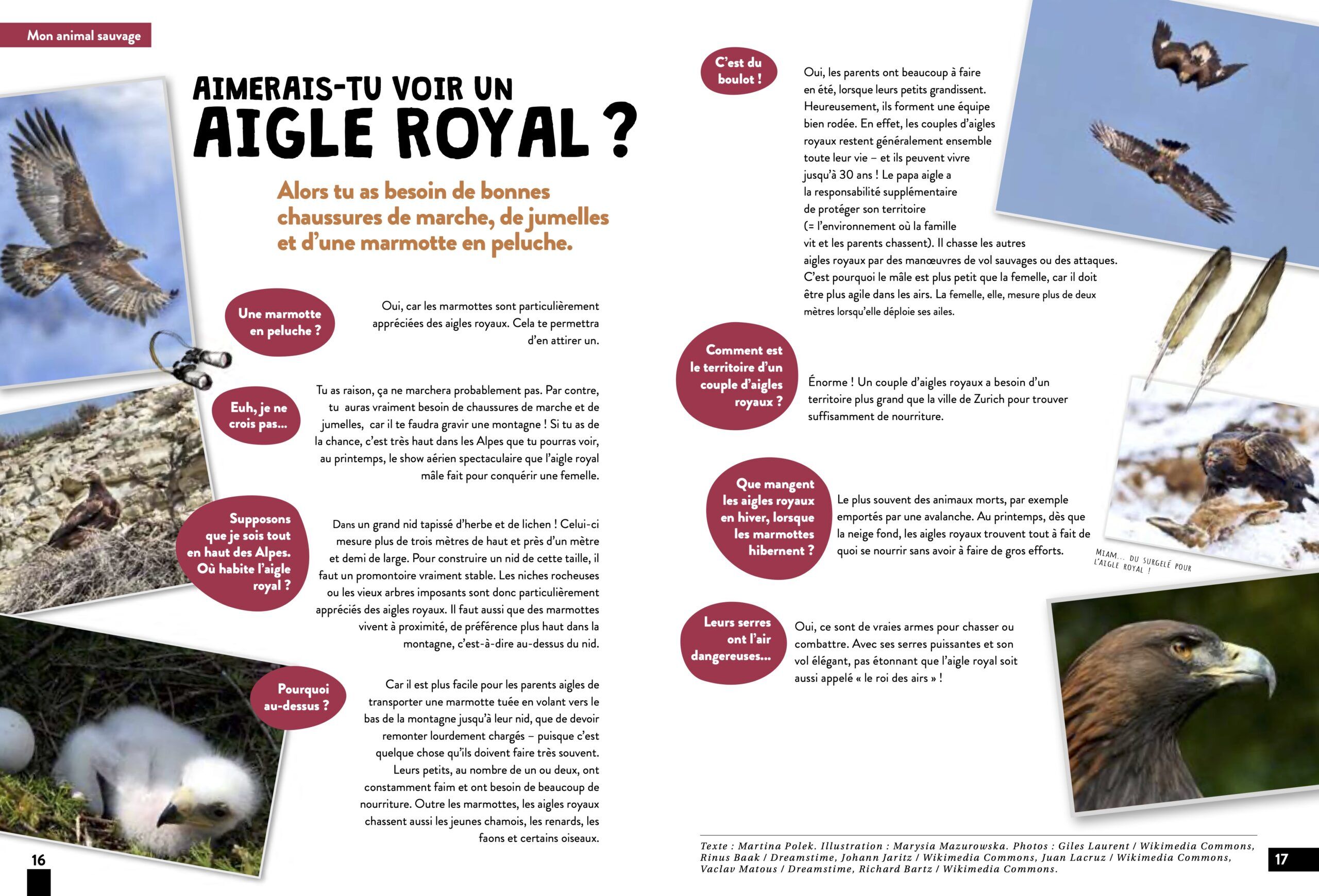 KALEIO-Magazin Nr. 20: Ungezähmt (Französisch) – Bild 5