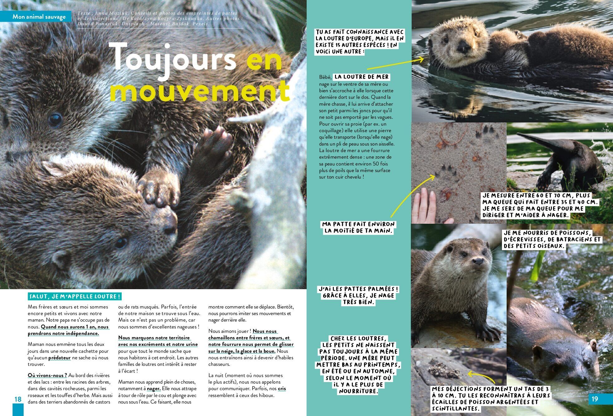 KALEIO-Magazin Nr. 26: In die Wildnis (Französisch) – Bild 5